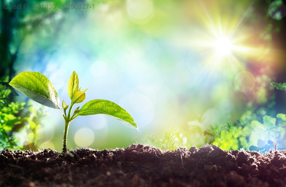 2023年綠色能源家庭安裝全指南：成本解析與節能效益示意圖